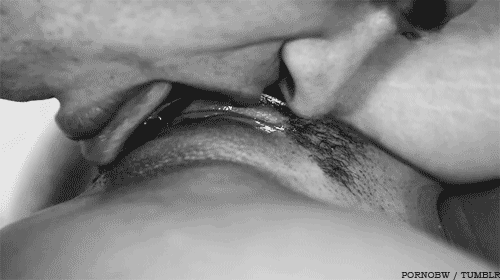 Pussy licking close up non color gif